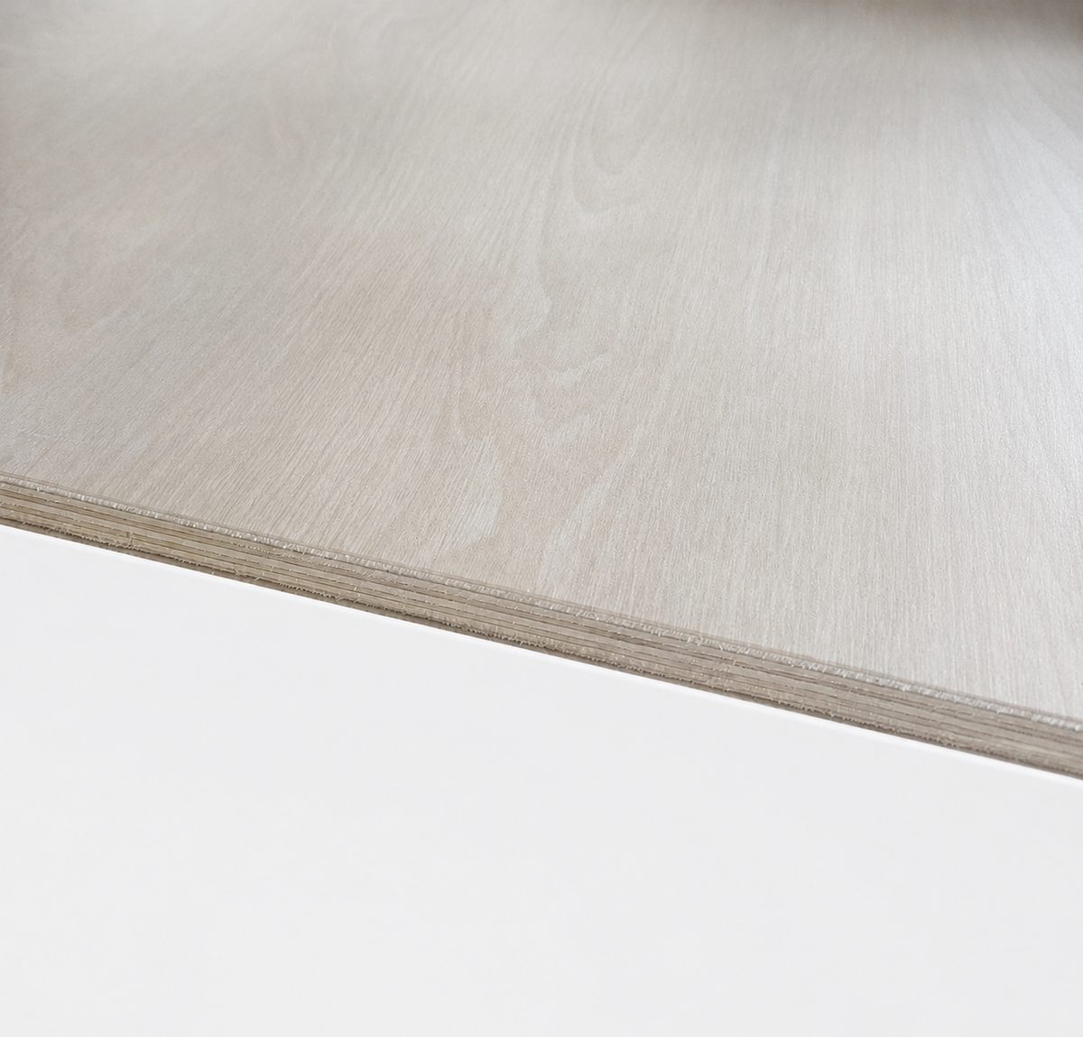 PLANCHER + LINO