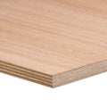 PLANCHER + LINO